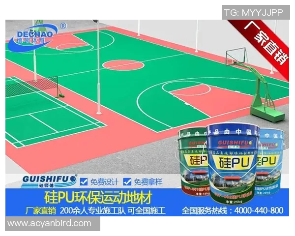 球场无障碍设施改造进展情况及未来规划分析报告