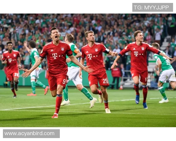 弗赖堡势不可挡，德甲联赛掀起狂潮势如破竹