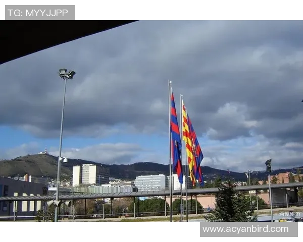 加泰罗尼亚旗帜背后的历史意义与文化象征探讨