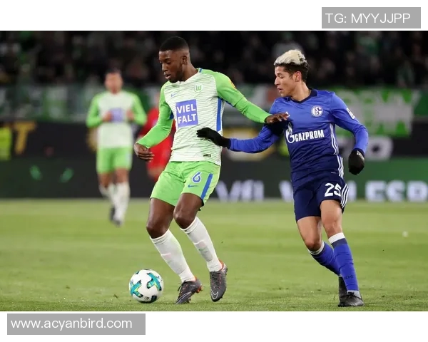 沙尔克04凭借顽强斗志在德甲赛场上取得惊险胜利