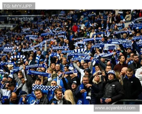 沙尔克04遭遇连败压力，战绩堪忧球迷担心