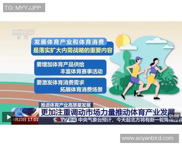 赛事产业带动效应对地方经济发展的深远影响与未来展望