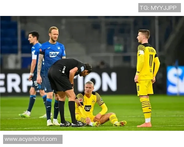 霍芬海姆客场失利，多特蒙德掀起三连胜潮势