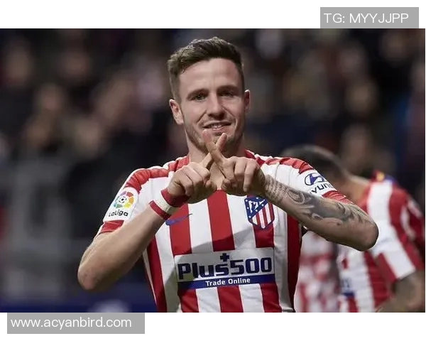 马德里竞技宣布新援加盟，引发球迷热议